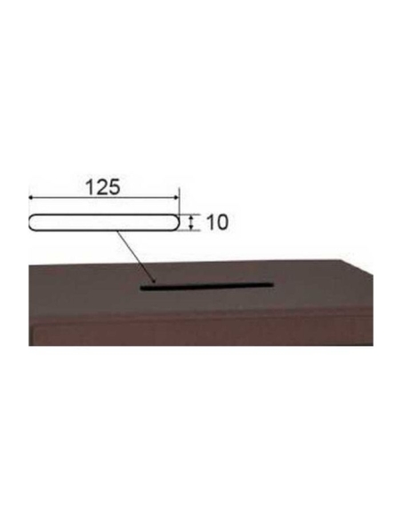 Caja fuerte Olle sobreponer serie 600 LE - S601LEL buzón antipesca 240 al. x 350 an. x 250 fd.