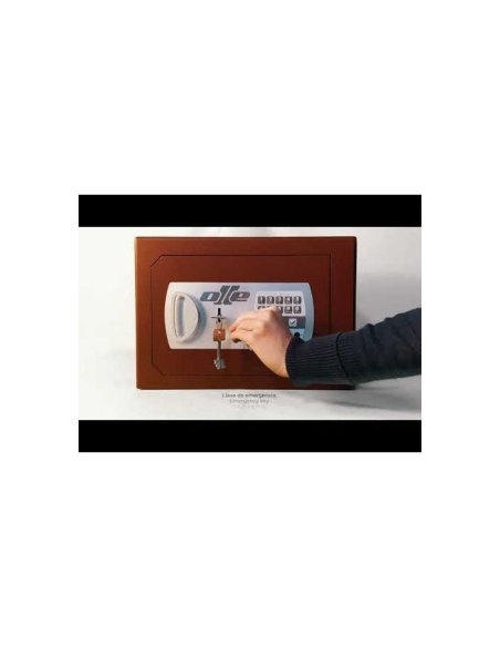 Caja fuerte Olle sobreponer serie 600 E - S603E 465 al. x 455 an. x 370 fd.