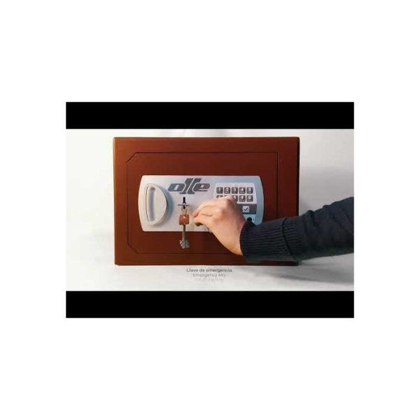 Caja fuerte Olle sobreponer serie 600 L - S601LL buzón antipesca 240 al. x 350 an. x 250 fd. 2