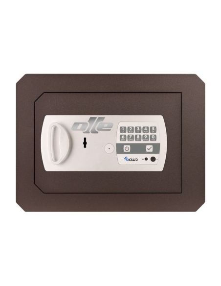 Caja fuerte Olle mural serie 1000 LE - 1003LE37Z apertura izquierda 485 al. x 465 an. x 3700 fd.