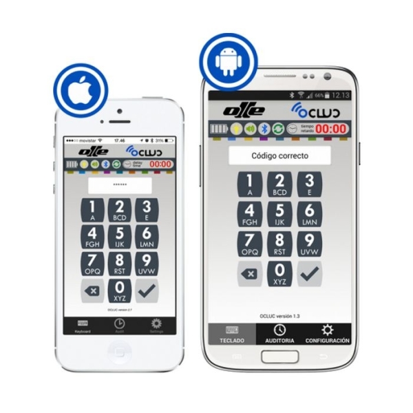 Caja fuerte Olle mural serie 1000 LE - 1002LE25Z apertura izquierda 350 al. x 465 an. x 250 fd. 2