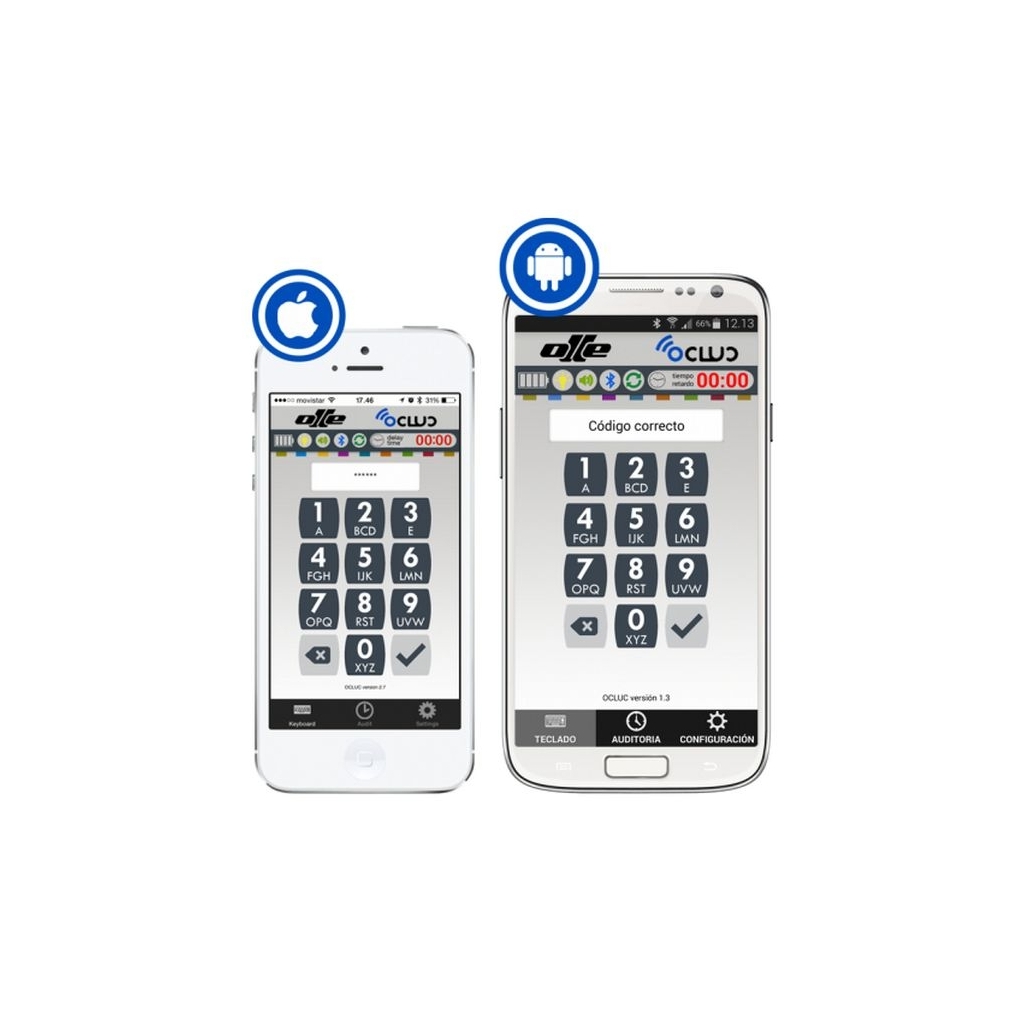 Caja fuerte Olle mural serie 1000 LEL - 1003LE37L buzón antipesca 485 al. x 465 an. x 370 fd.