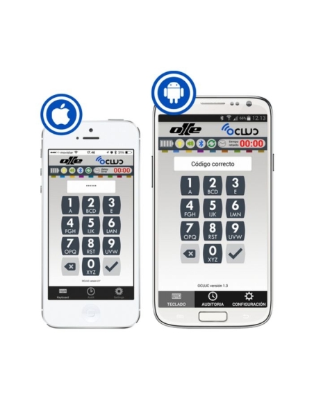 Caja fuerte Olle mural serie 1000 LE - 1003LE25 485 al. x 465 an. x 250 fd.