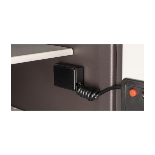 Caja fuerte Olle mural serie 1000 LE - 1003LE20 485 al. x 465 an. x 200 fd. 2