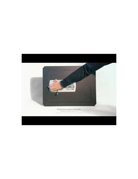 Caja fuerte Olle mural serie 1000 LE - 1001LE25 260 al. x 360 an. x 250 fd.