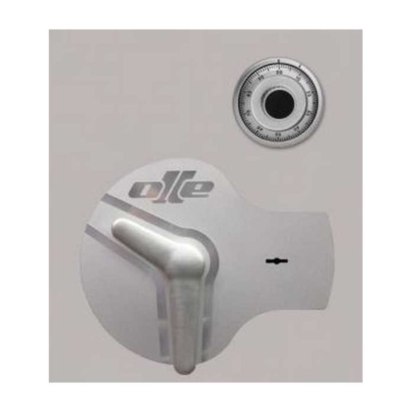 Caja fuerte Olle mural serie I AF4LM 820 al. x 570 an. x 390 fd. 2