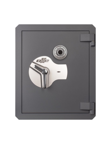 Caja fuerte Olle mural serie I AF3LM 670 al. x 570 an. x 390 fd.