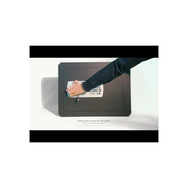 Caja fuerte Olle mural serie 1000 L - 1002L37 350 al. x 465 an. x 370 fd. 2