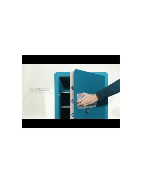 Caja fuerte Olle mural serie 800 E - 803E25 485 al. x 465 an. x 250 fd.