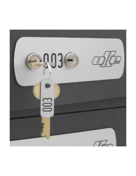 Columna casillero Olle serie C100 - C408 T4 MÓDULO 8 CASILLAS