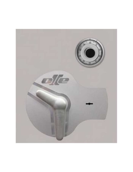 Caja fuerte Olle mural serie I AF4LM 820 al. x 570 an. x 390 fd.