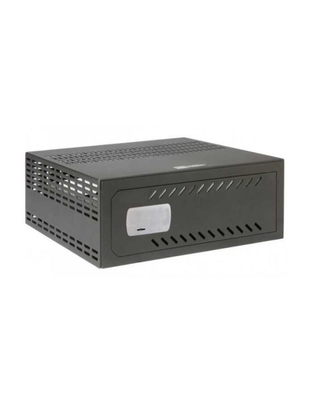 Caja fuerte videograbador Olle serie VR VR190 178 al. x 443 an. x 450 fd. RACK